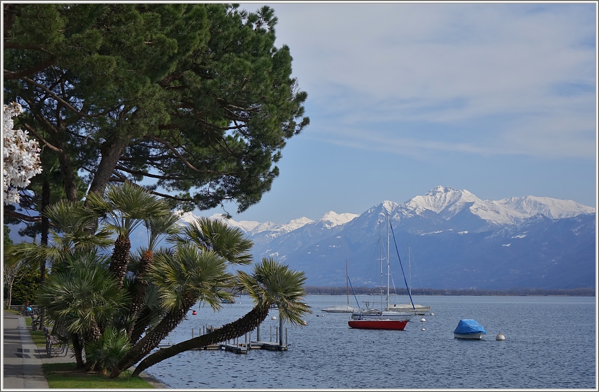 An der Seepromenade des Lago Maggiore in Locarno.
(18.03.2015)