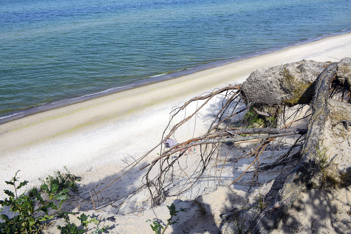 An der Steilküste vor Poddąbie (Neu Strand) in Hinterpommern. Aufnahme: 20. August 2020.