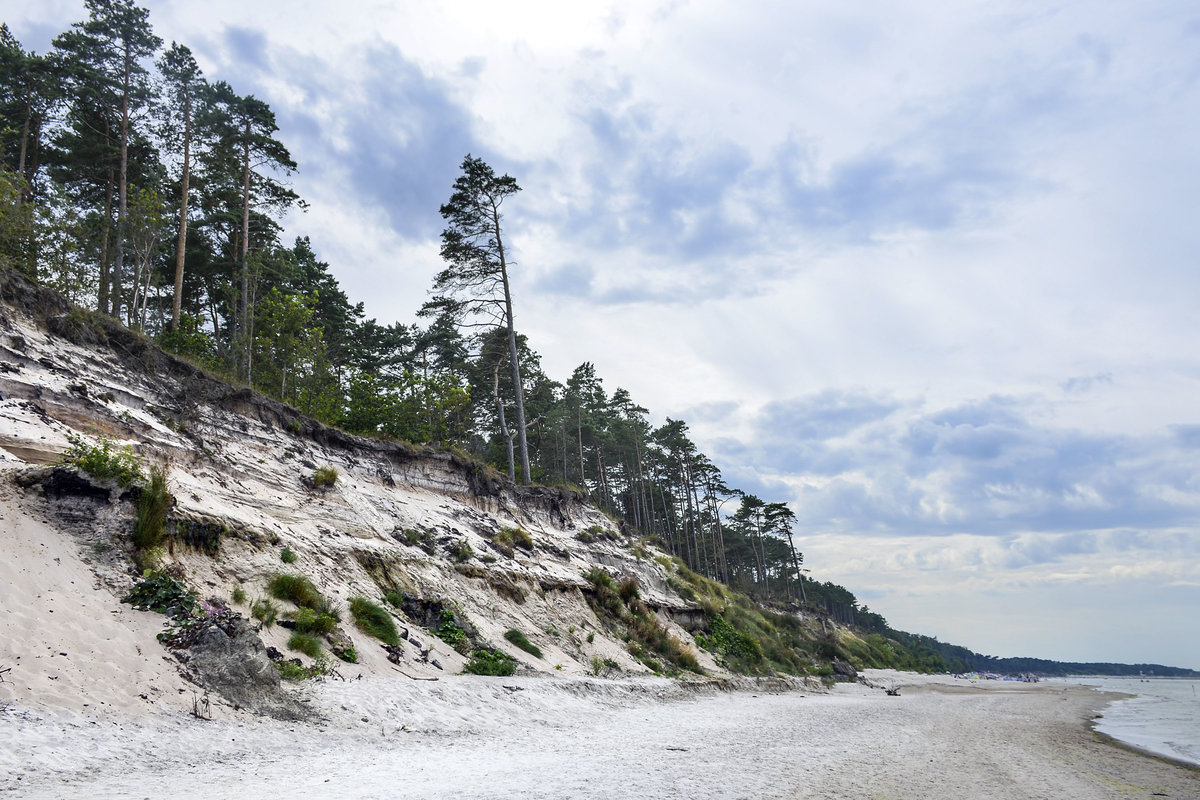 An der Steilküste zwischen Ustka (Stolpmünde) und Orzechowo (Freihow) in Hinterpommern. Aufnahme: 21. August 2020.