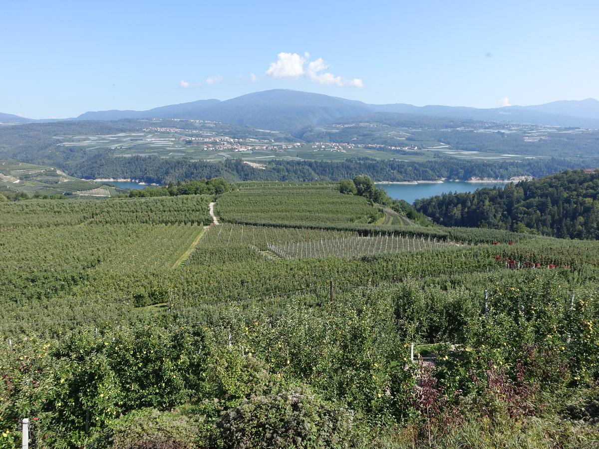 Apfelplantagen bei Cles im Nonstal, Südtirol (15.09.2019)