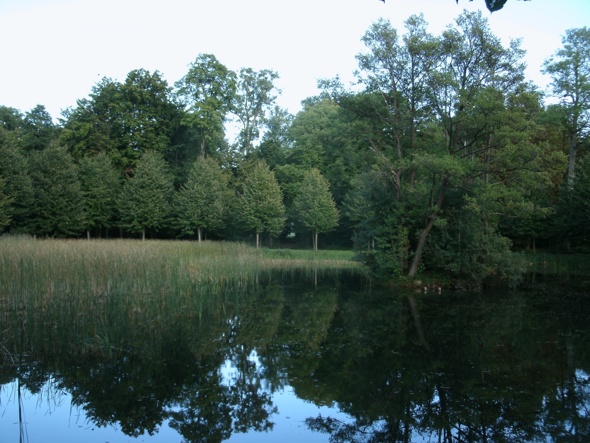 Auch dieser kleine Schloteich im Schlopark Pansevitz ist ein Foto wert.Aufnahme vom 19.September 2013.