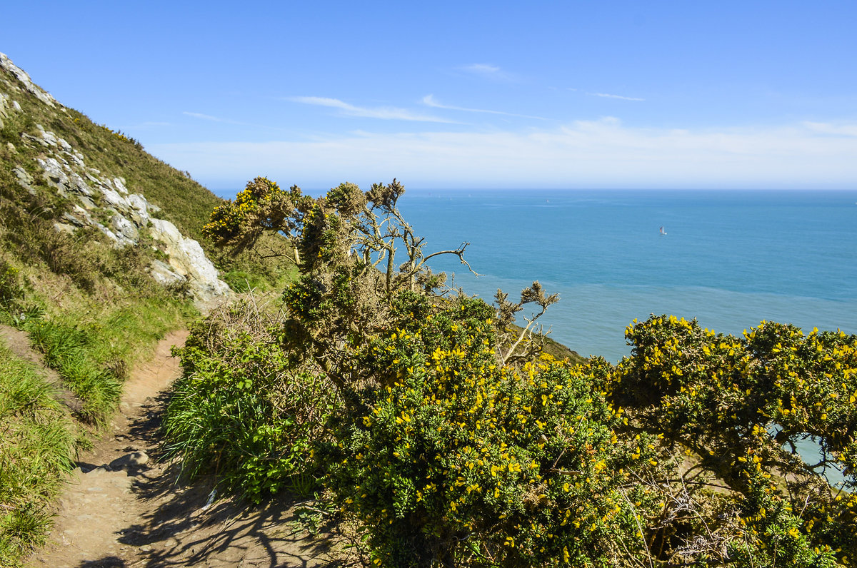 Auf dem Cliff Walk von Howth östlich von Dublin. Den Cliffwalk sollte man bei sehr starkem Wind meiden, an einigen Stellen führt der Pfad doch sehr nach an den Klippen entlang.
Aufnahme: 12. Mai 2018.