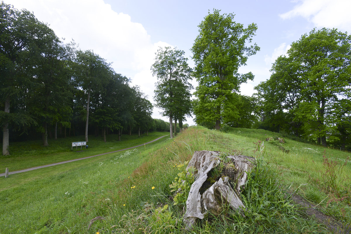 Auf dem Hauptwall von Danewerk westlich von Schleswig. Blick in westlicher Richtung gegen Schanze 14. Aufnahme: 27. Mai 2019.