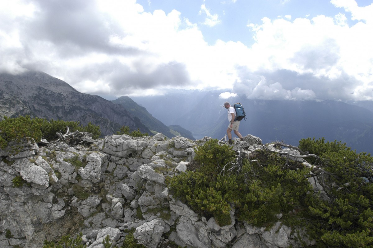 Auf dem Kehlstein (1881 Meter) im Berchtesgadener Land. Aufnahme: Juli 2008.