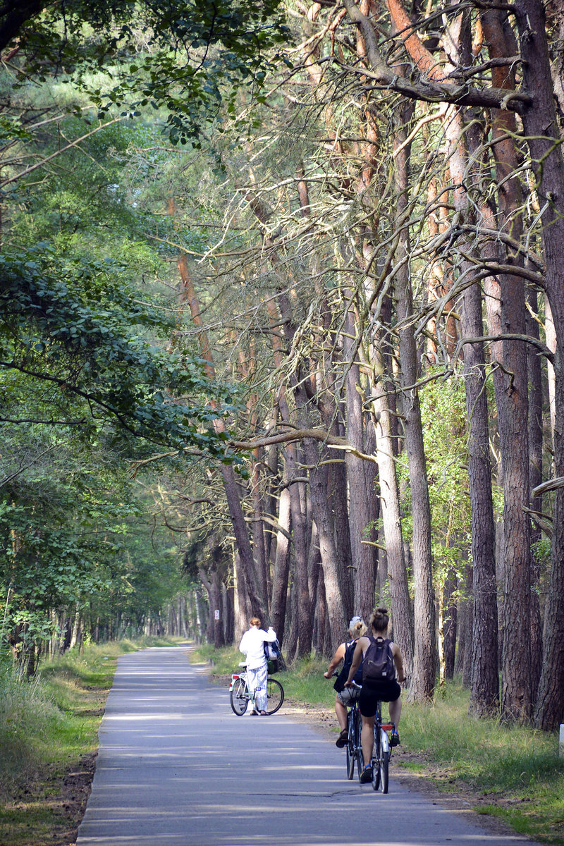 Auf dem Radweg zwischen Leba und die Wanderdüne Wydma Łącka (Lontzkedüne). Aufnahme: 17. August 2020.