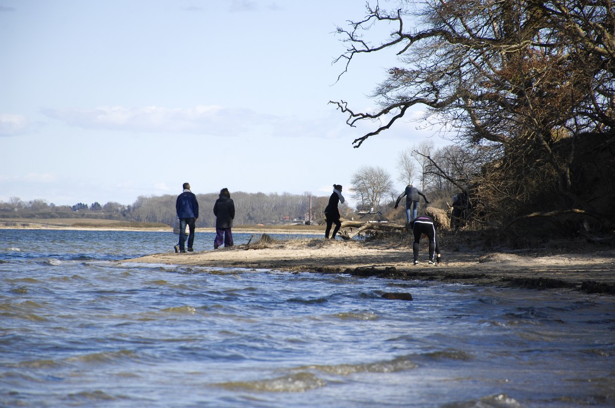 Auf der Halbinsel Holnis an Flensburger Förde. Aufnahme: April 2015.