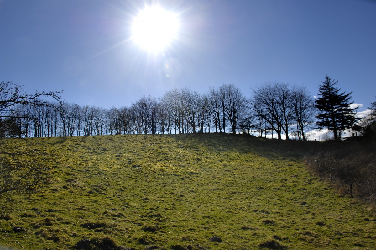 Auf der Halbinsel Holnis nördlich von Glücksburg (Ostsee).
Aufnahmedatum: 4. April 2015.