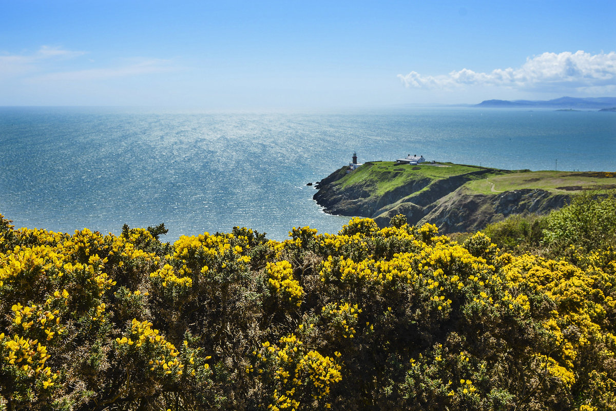 Auf der Halbinsel von Howth - Unweit von Dublin bietet diese Rundwanderung inmitten der typisch irischen Landschaft eine wunderschöne Aussicht über das offene Meer, die beeindruckende Steilküste und die Bucht von Dublin. Aufnahme: 12. Mai 2018.