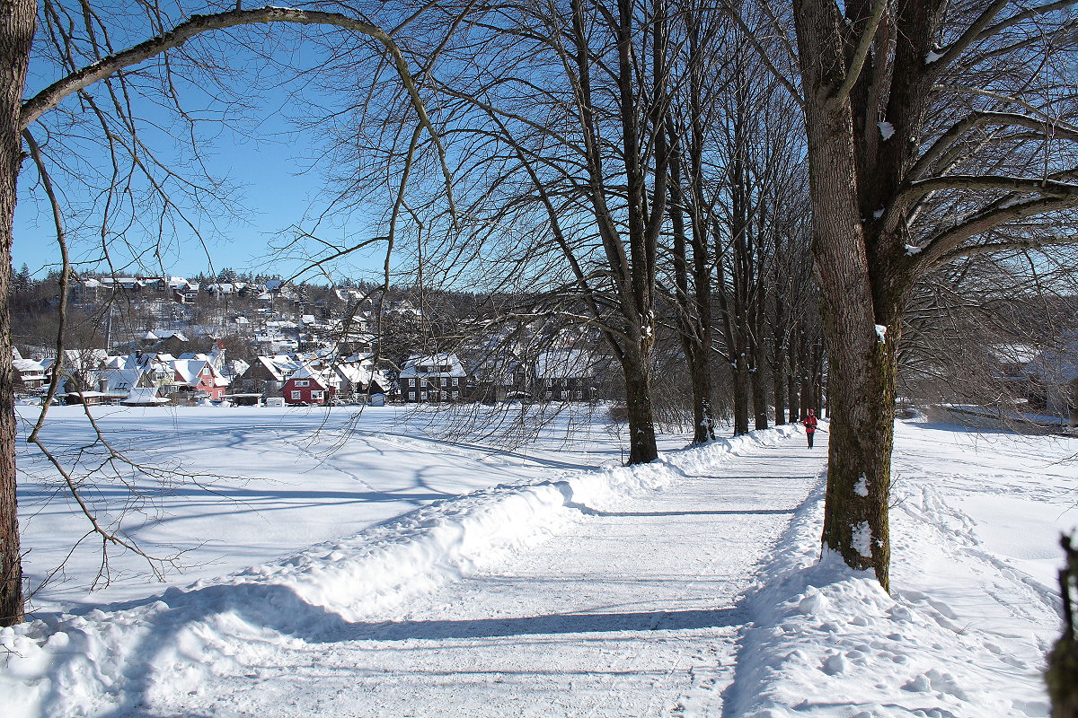 Auf der Rathausallee in Braunlage; Aufnahme vom frühen Nachmittag des 13.02.2021...