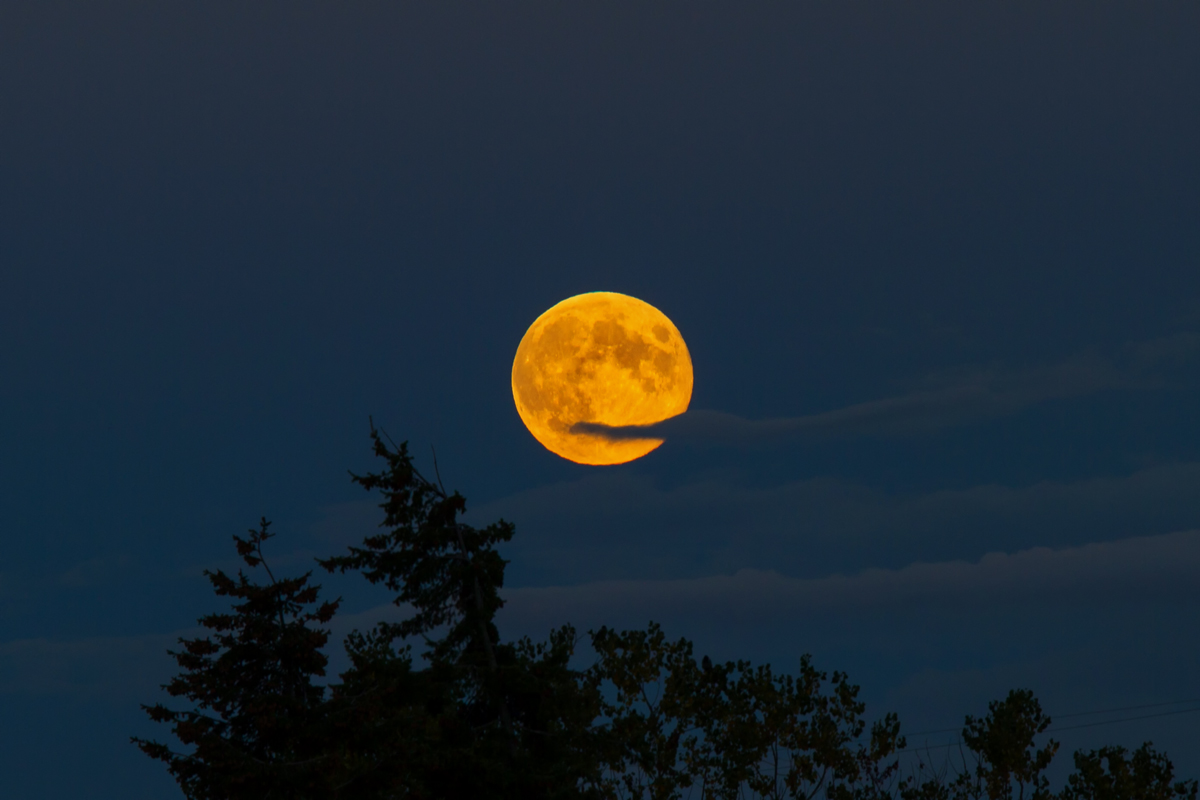 Aufgegangener Vollmond am Abend. 19.09.2013