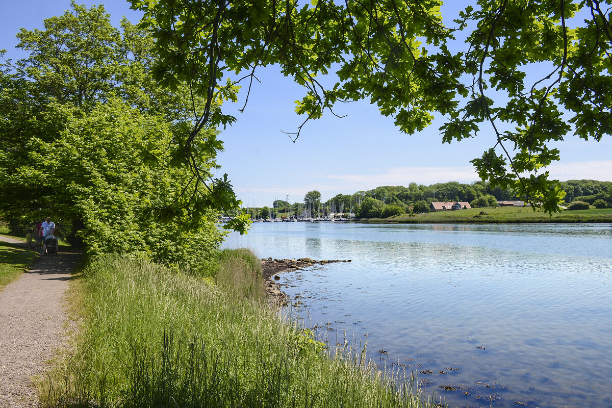 Augustenburger Förde vom Schlosspark in Augustenburg aus gesehen. Aufnahme: 6. Juni 2021.