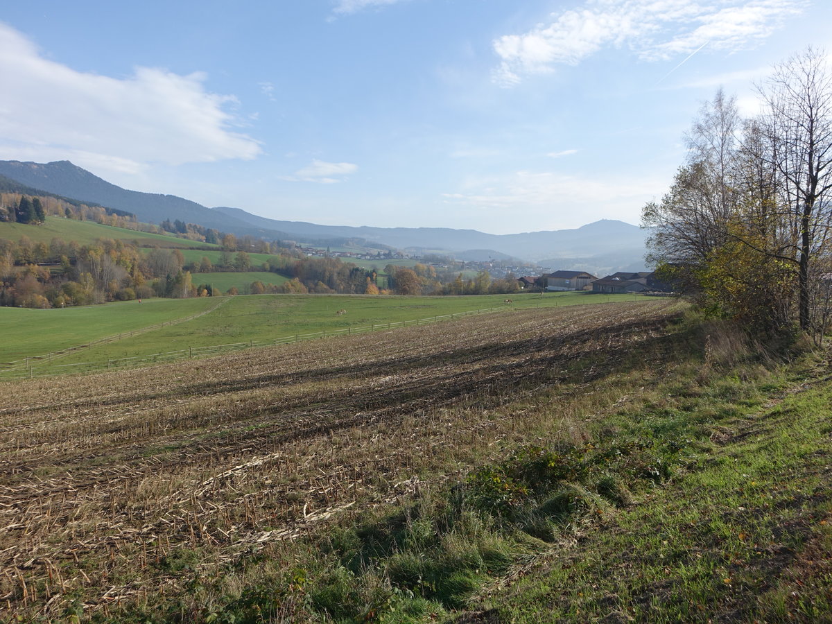 Ausblick auf den Bayerischen Wald im engen Tal des Lamer Winkels bei Engelshütt (05.11.2017)
