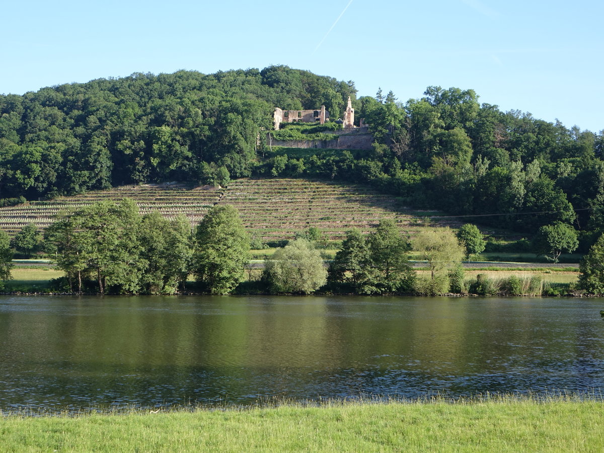 Ausblick auf die Collenburg am Main bei Collenberg (09.06.2019)