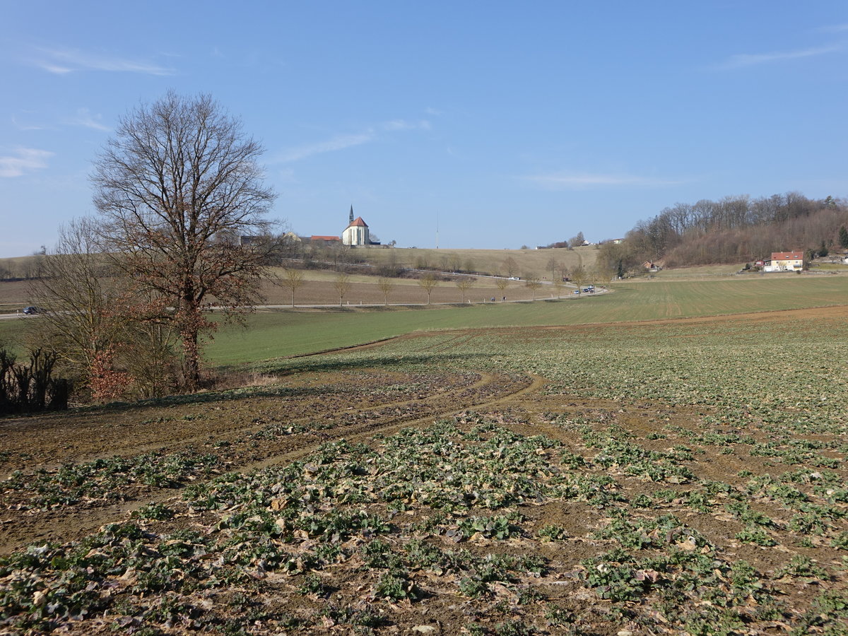 Ausblick auf des Adlersberg mit der Klosterkirche zu unserer Lieben Frau (25.03.2018) 