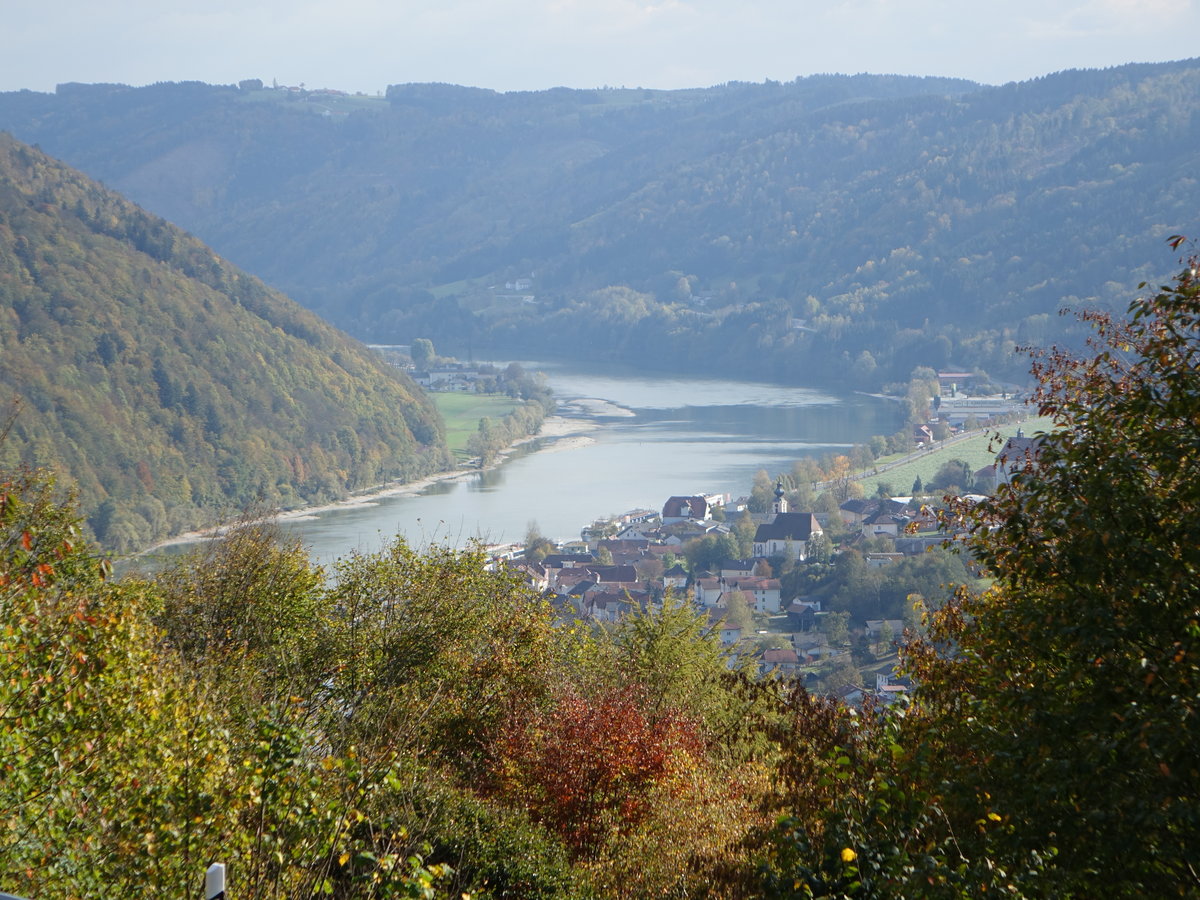 Ausblick auf die Donau bei Gottsdorf, Lkr. Passau (21.10.2018)