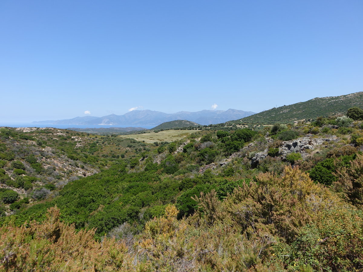 Ausblick auf Hügel im Norden von Korsika bei St. Florent (19.06.2019)