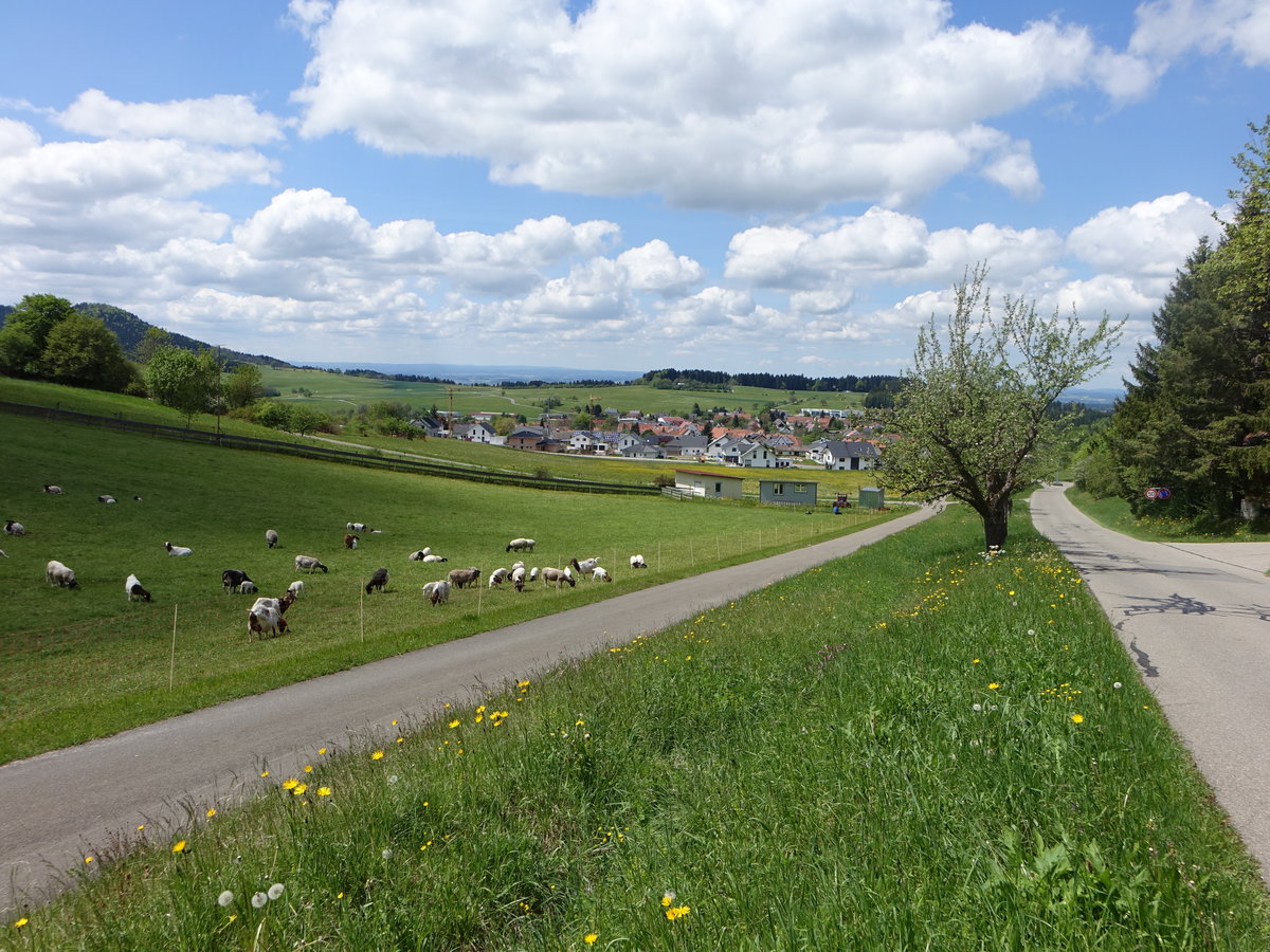 Ausblick auf den Ort Delkhofen vom großen Heuberg, Kreis Tuttlingen (21.05.2018)