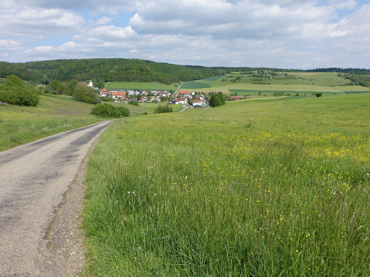 Ausblick auf den Ort Riedböhringen im Schwarzwald Baar Kreis (25.05.2017)