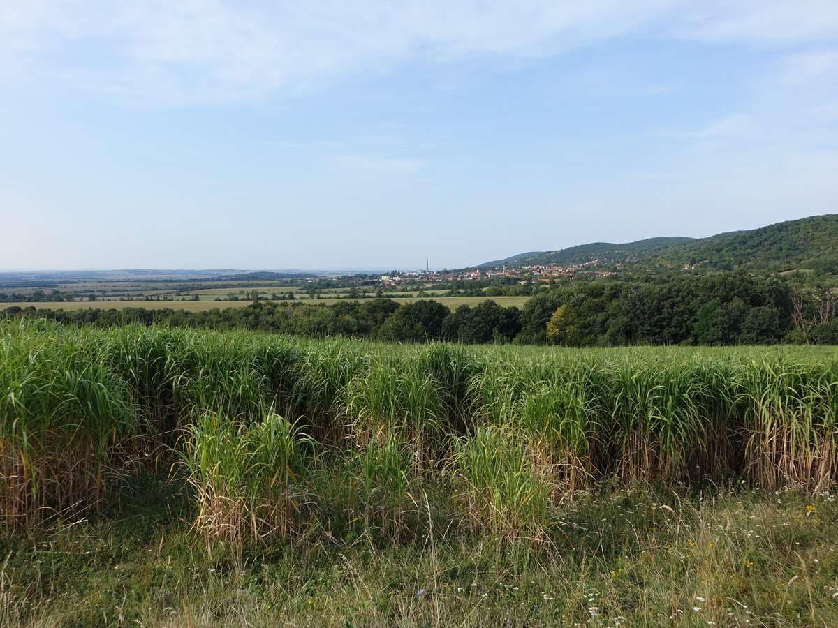 Ausblick auf Pukanec am Fuße der Schemnitzer Berge, im Tal der Sikenica (29.08.2020)