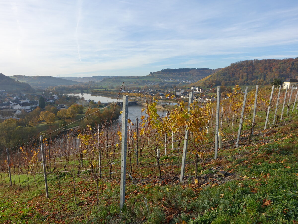 Ausblick auf das Saartal bei Biebelhausen (05.11.2025)