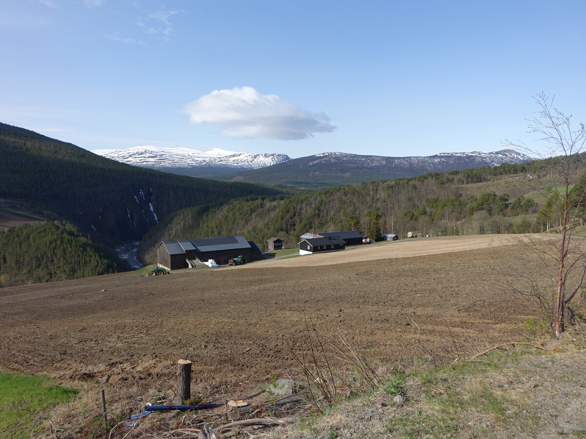 Ausblick von der Kirche von Heidal auf den Berg Heidalsmuen (1745 Meter) (25.05.2023)