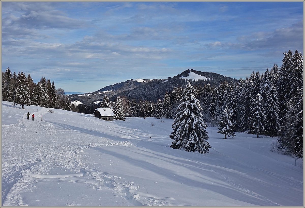 Ausblick vom Les Plèiades auf die Freiburger Berge.
(14.12.2020)