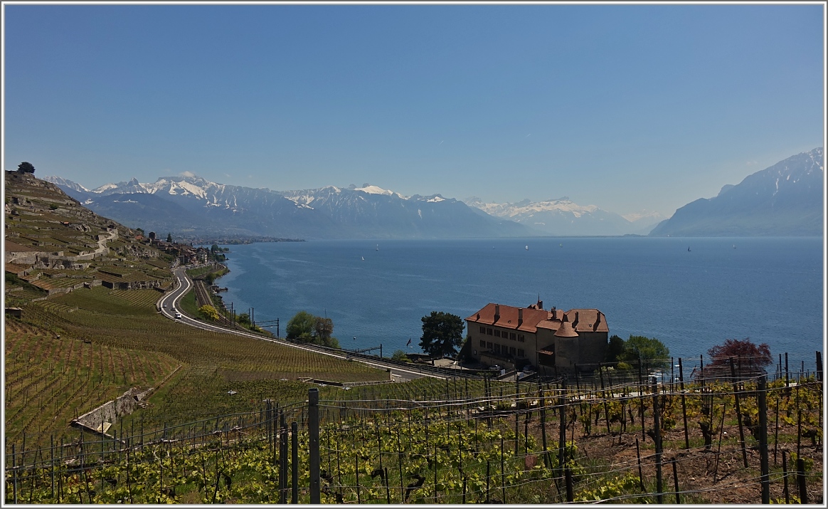 Ausblick oberhalb von einem Wanderweg bei Rivaz auf den Genfersee und die Waadtländer Alpen.
(29.04.2017)