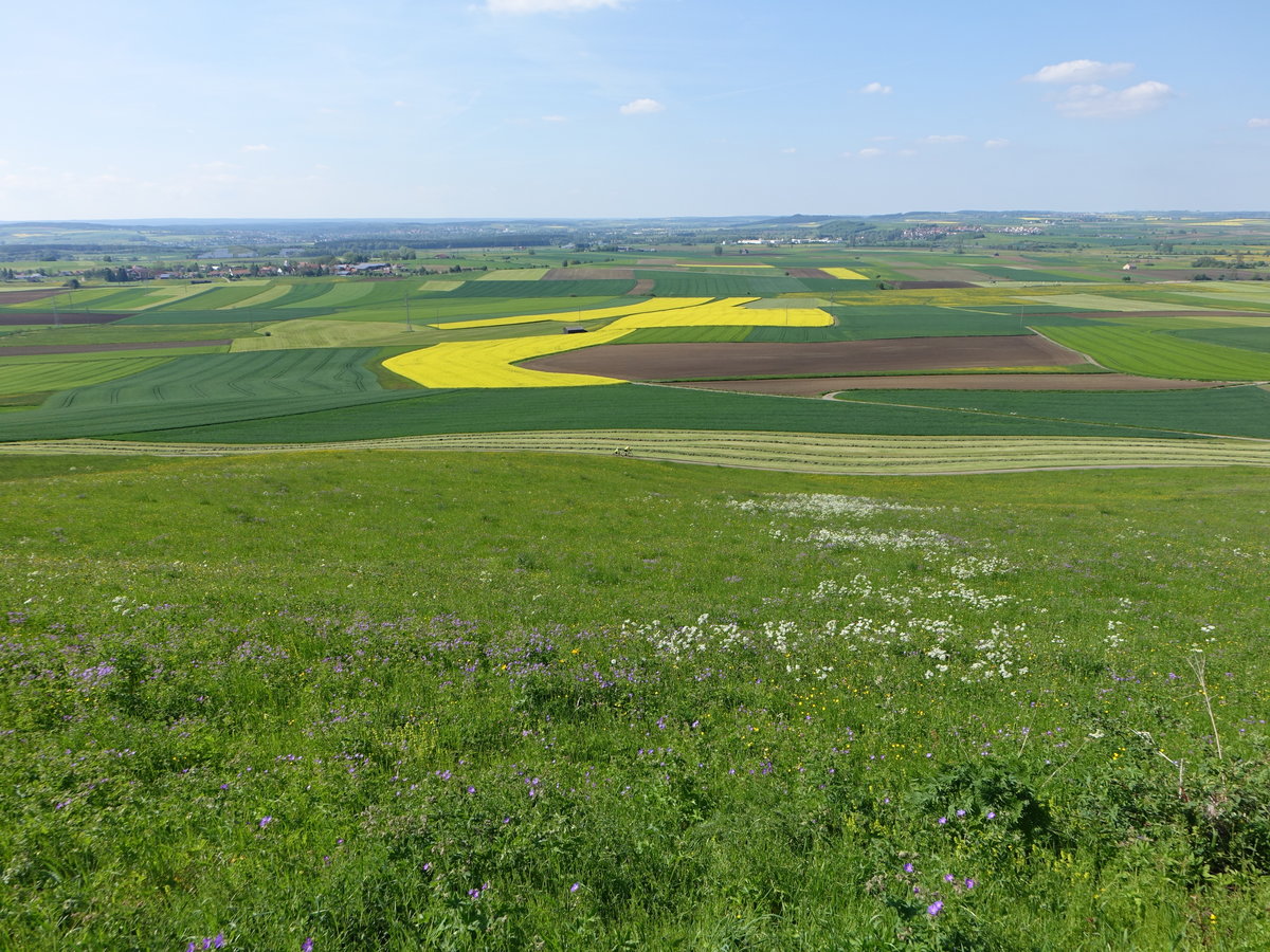 Ausblick vom Wartenberg (844 M.) im Naturraum Baaralb (25.05.2017)