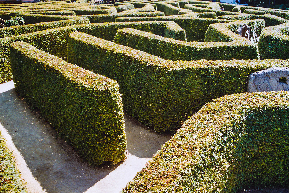 Ausschnitt des Labyrinthes am Dreiländerpunkt vaals im niederländischen Zuid-Limburg. Aufnahme: Juli 2004.