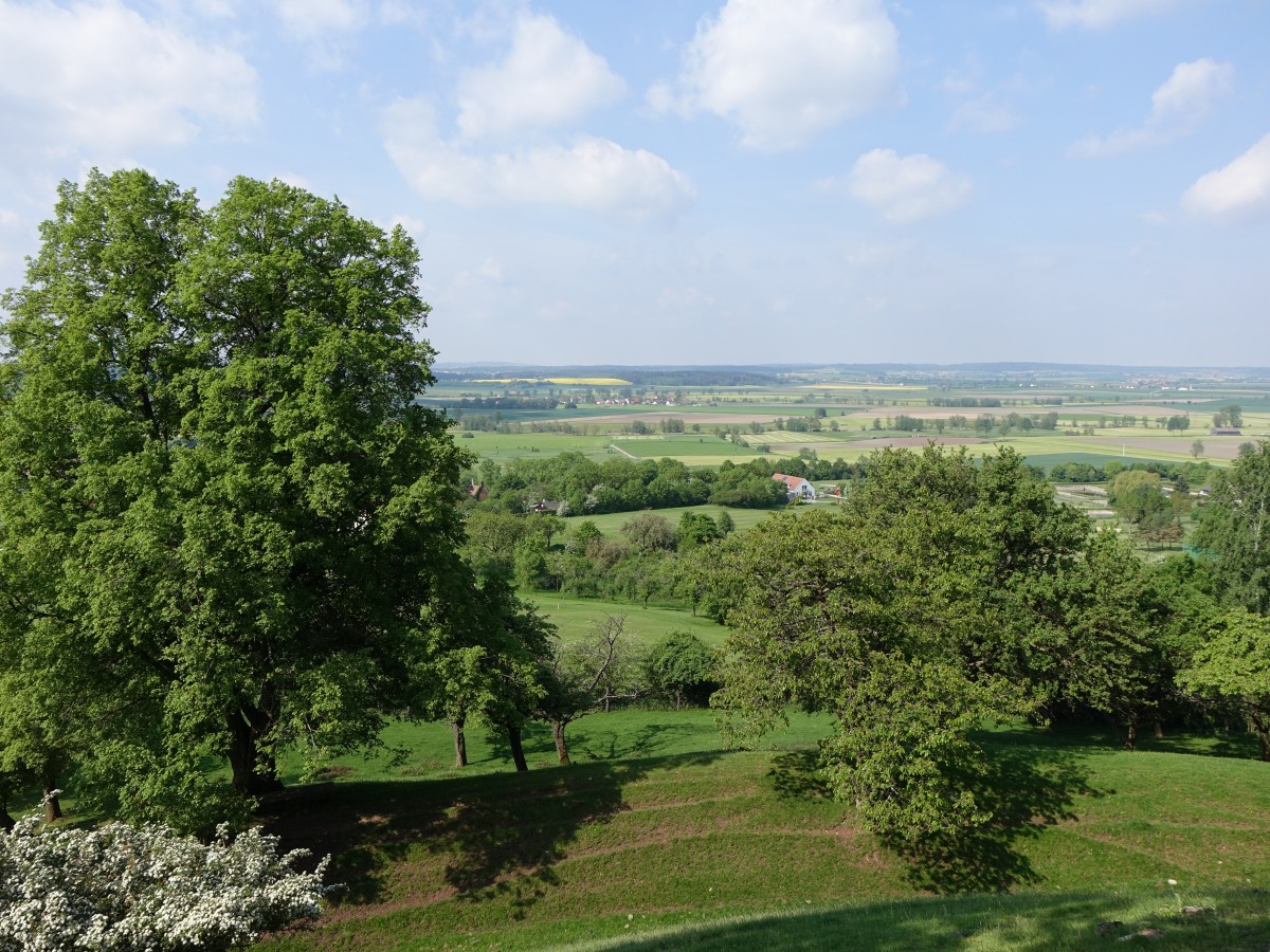 Aussicht auf die Frankenhöhe von der Burg Colmberg (14.05.2015)