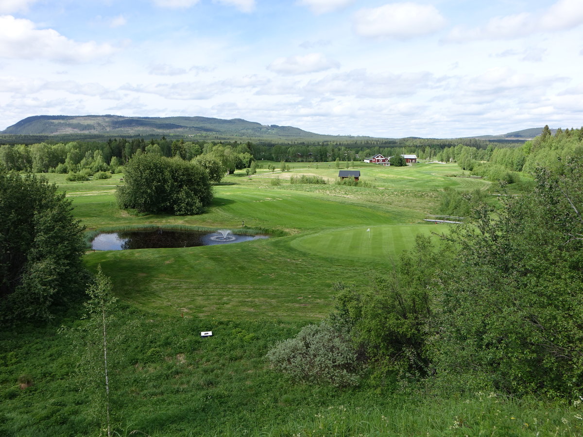 Aussicht auf den Golfplatz bei Hede (17.06.2017)