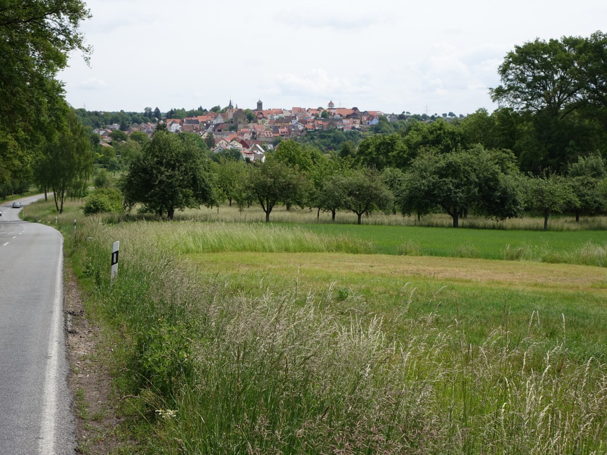 Aussicht auf Hilsbach im Rhein Neckar Kreis (31.05.2015)