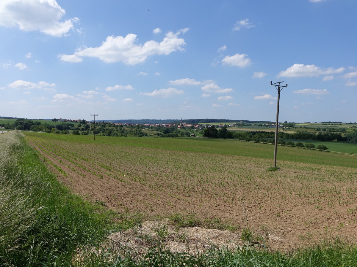 Aussicht auf Kalbensteinberg im Fränkischen Seenland (04.06.2015)