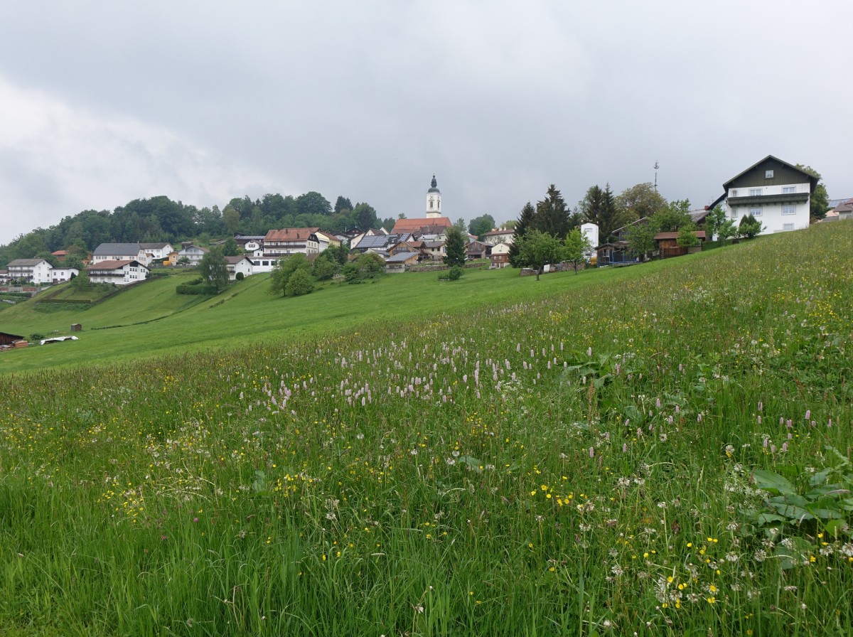 Aussicht auf Kirchberg im Wald in der Region Donau-Wald (24.05.2015)