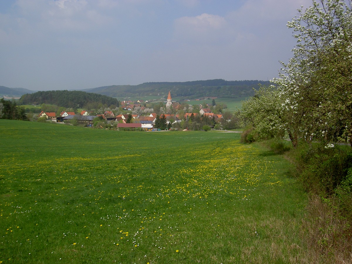 Aussicht auf Kirchrimbach, Mittelfranken (13.04.2014)