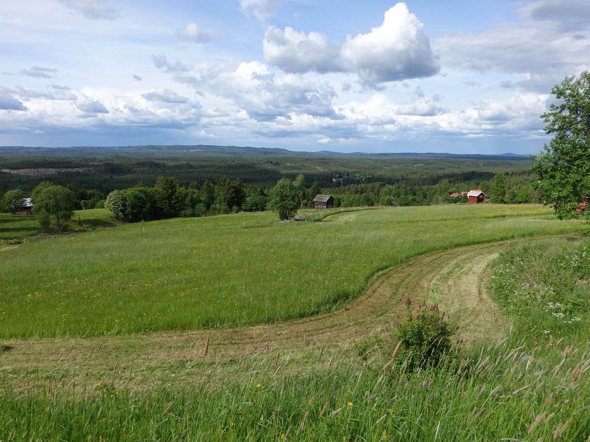 Aussicht auf den Koppången Nationalpark bei Skattungbyn (16.06.2017)