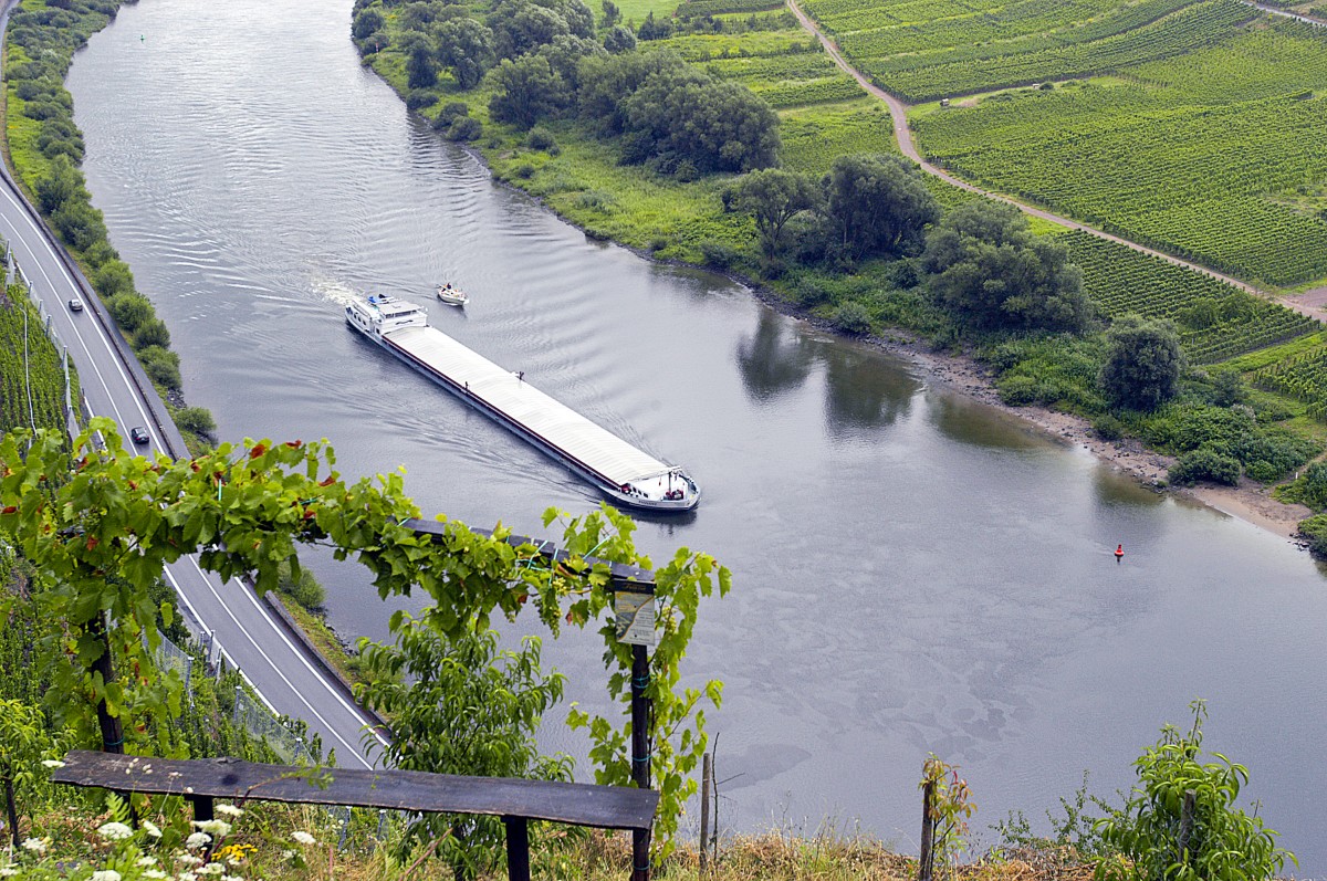 Aussicht auf die Mosel bei Bremm. Aufnahme: Juli 2007.