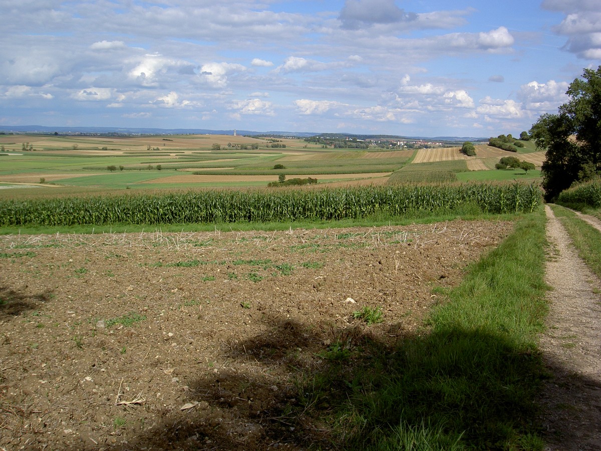 Aussicht auf das Nördlinger-Ries bei Trochtelfingen, Ostalbkreis (24.08.2014)