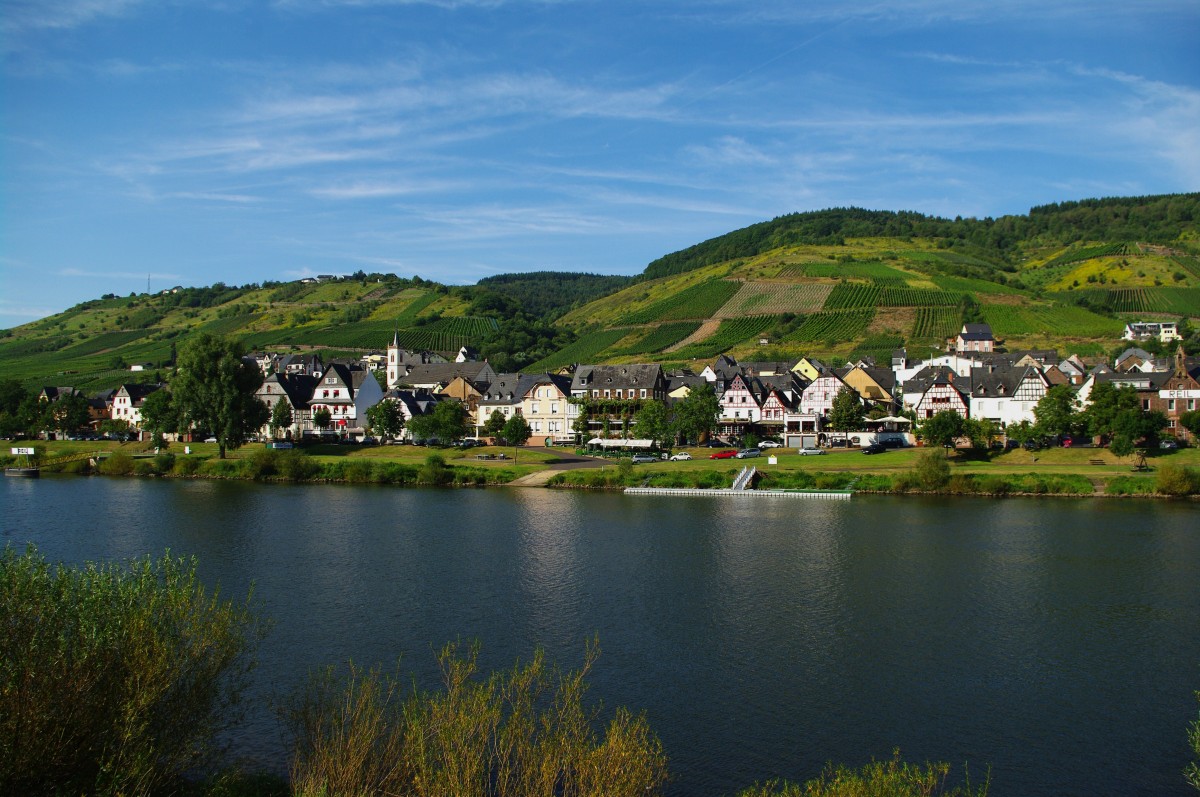 Aussicht auf Reil an der Mosel (23.08.2009)