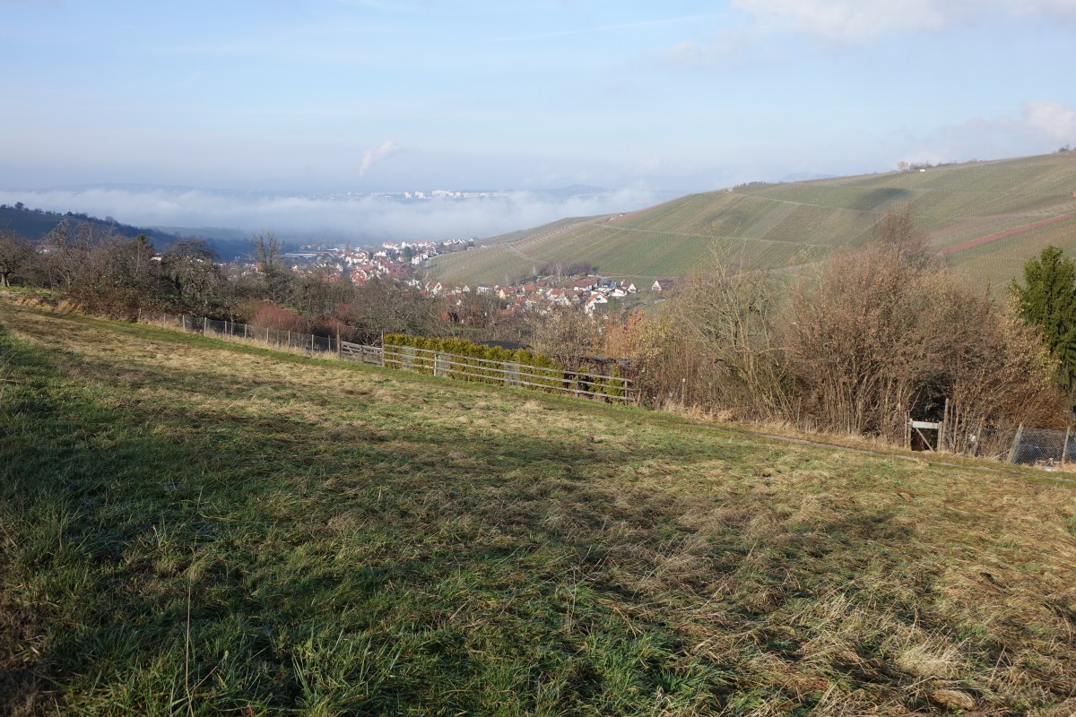 Aussicht auf Strümpfelbach im Remstal (18.01.2015)