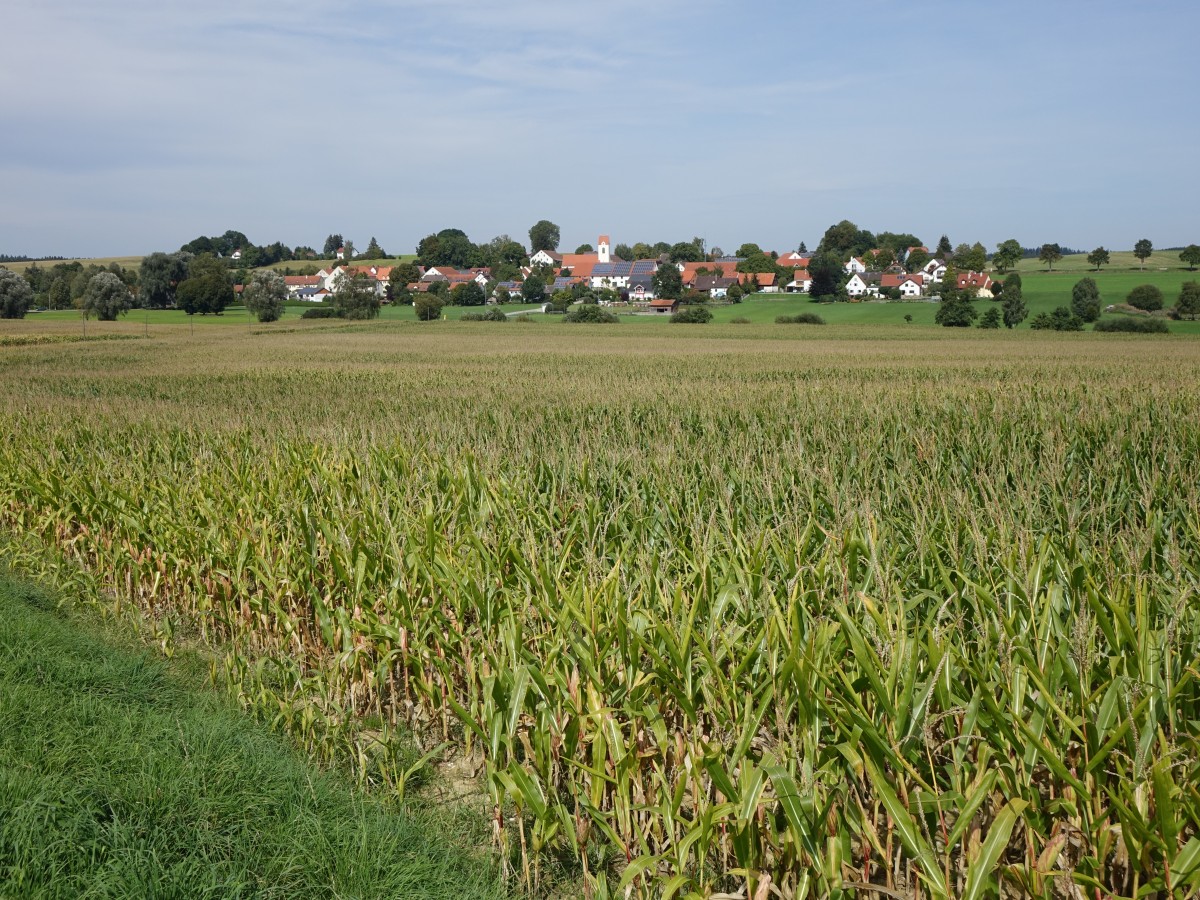 Aussicht auf Unterlappach, Kreis Fürstenfeldbruck (13.09.2015)