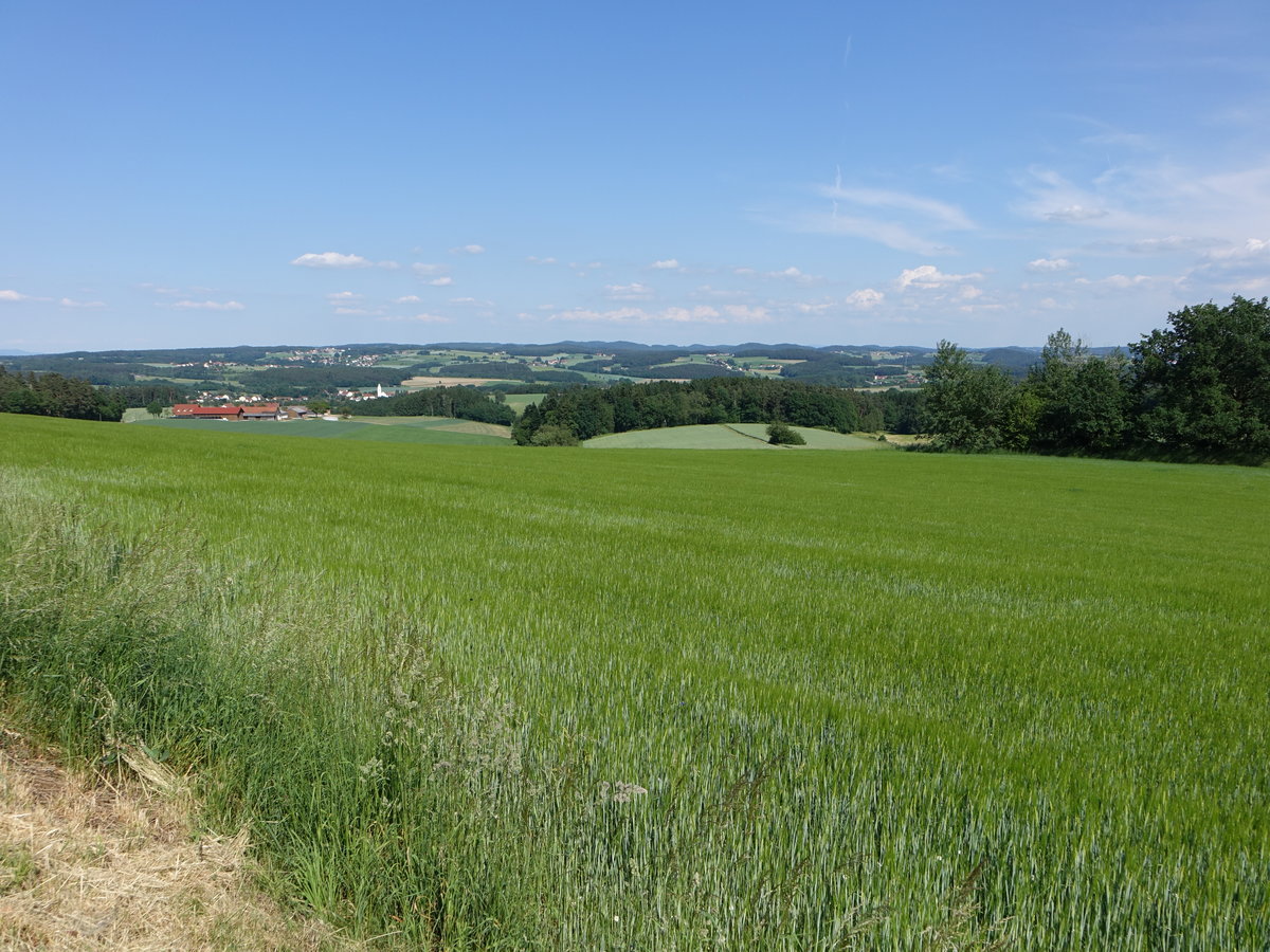 Aussicht auf den vorderen Bayrischen Wald bei Kürn (02.06.2017)