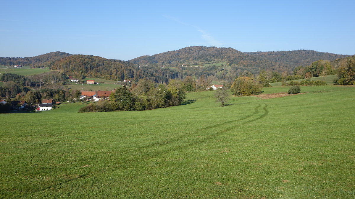 Aussicht auf den Zwieselberg (592 M.) bei Böhmzwiesel (22.10.2018)