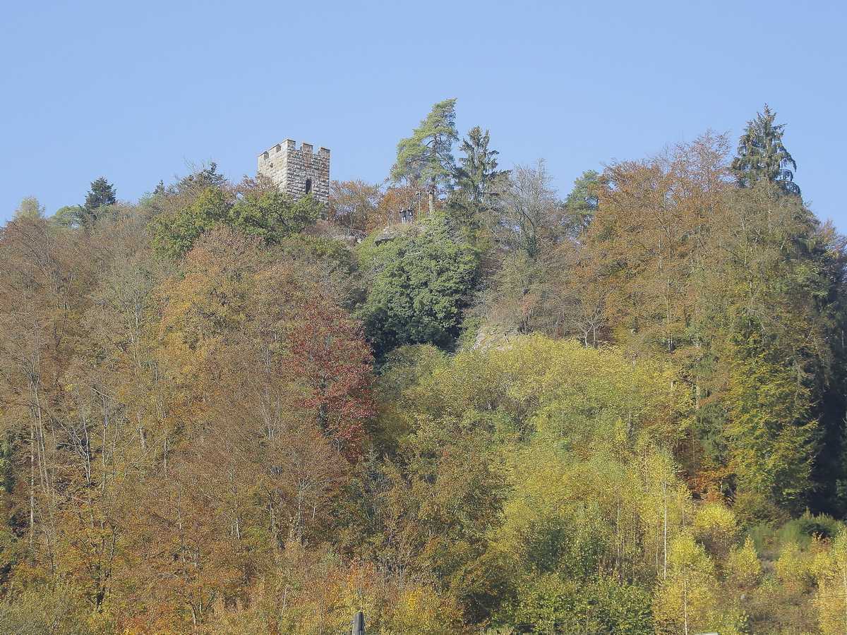 Aussicht vom Bahnhof Erfenstein der Kuckucksbähnel am 20. Oktober 2018.