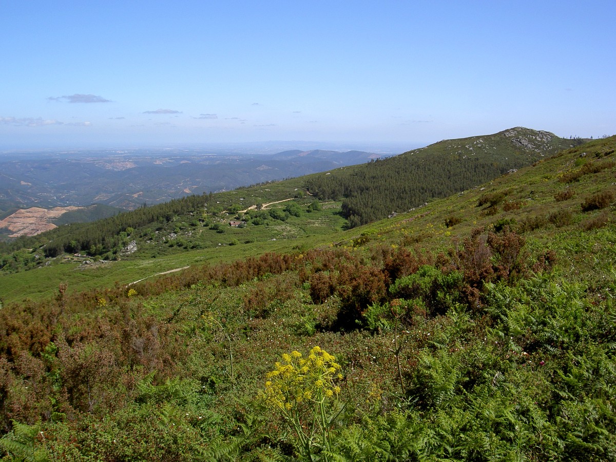 Aussicht vom Berg Foia Richtung Faro (26.05.2014)