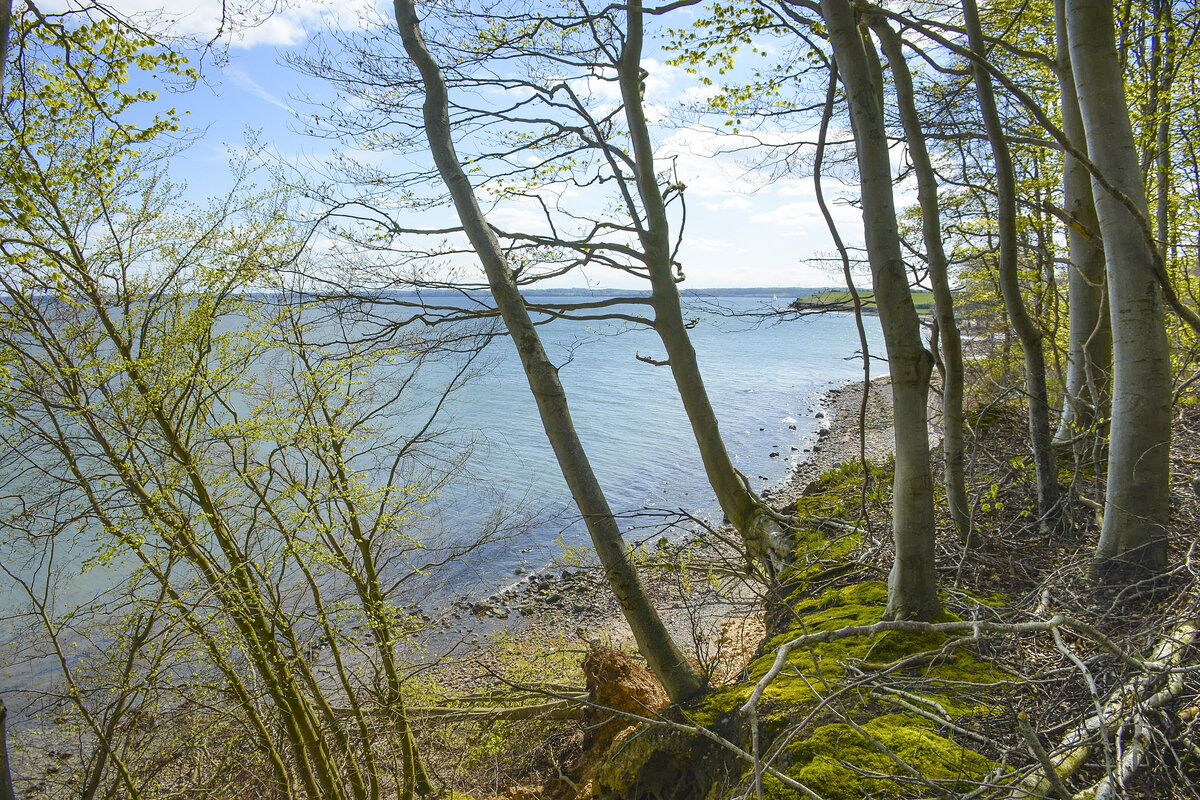 Aussicht vom Kobbelskov auf die Flensburger Förde. Der Wald von Kobbelskov befindet sich im südöstlichen Teil der Halbinsel Broagerland (Nordschleswig/Sønderjylland). Aufnahme: 22. April 2024.