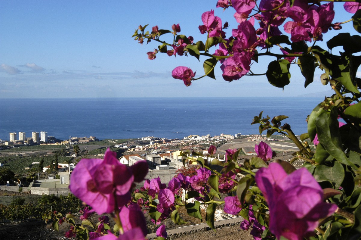 Aussicht von der Landesstraße TF-47 in der Nähe von Ricasa, Teneriffa. Aufnahme: Oktober 2008.