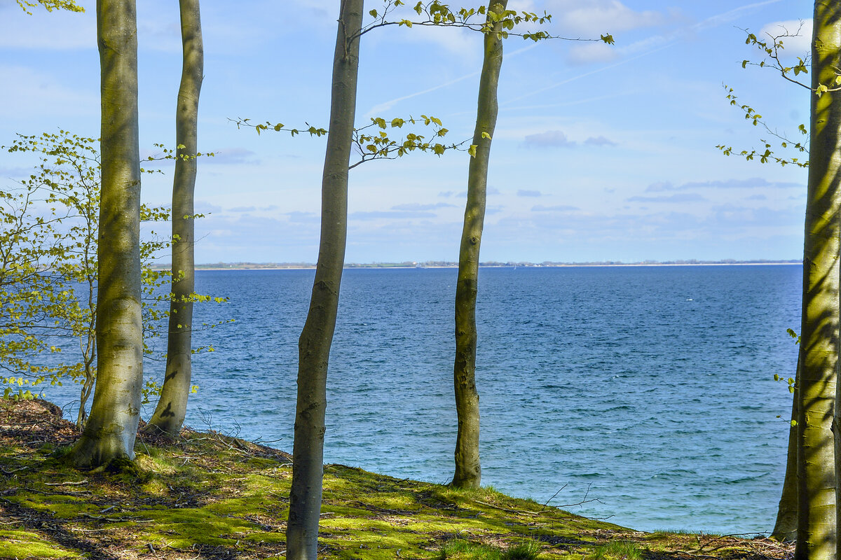 Aussicht vom Skelde Kobbelskov auf die Flensburger Förde. Aufnahme: 22. April 2024.