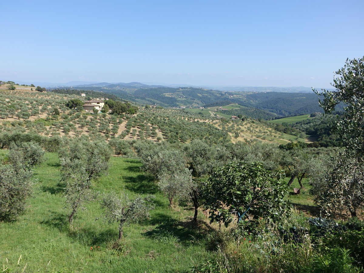 Aussicht von der Villa di Artimino in Carmignano (16.06.2019)