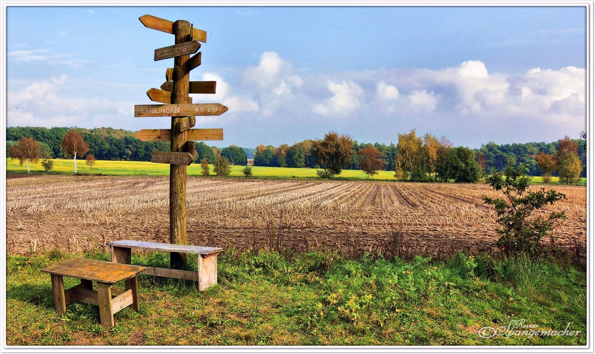 Aussichtspunkt bei Ostervesede, Heiderandgebiet, es handelt sich im Hintergrund nicht um Raps, sondern um weißen Senf. Oktober 2015